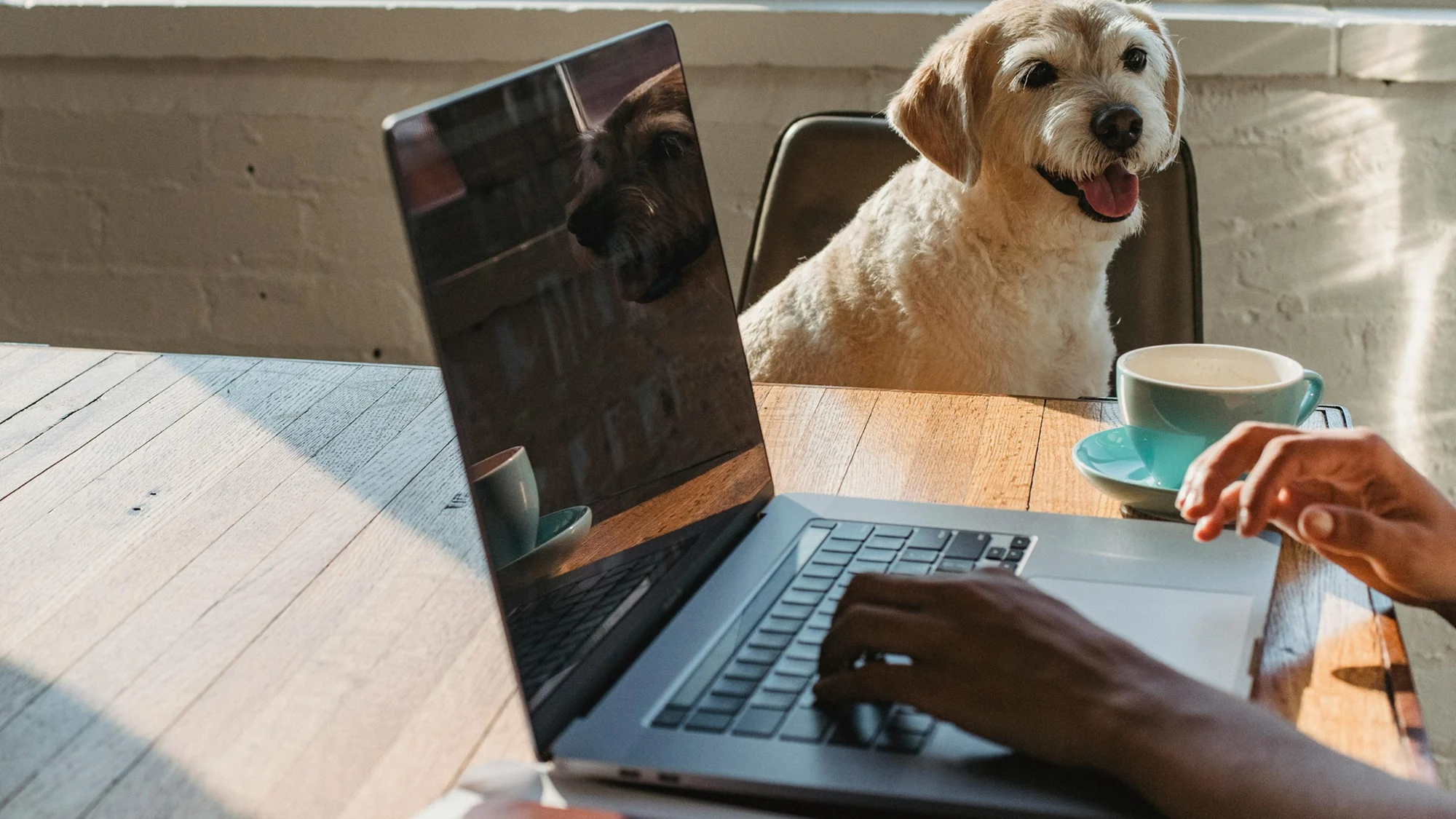 DAM and WordPress: Better content management made simple