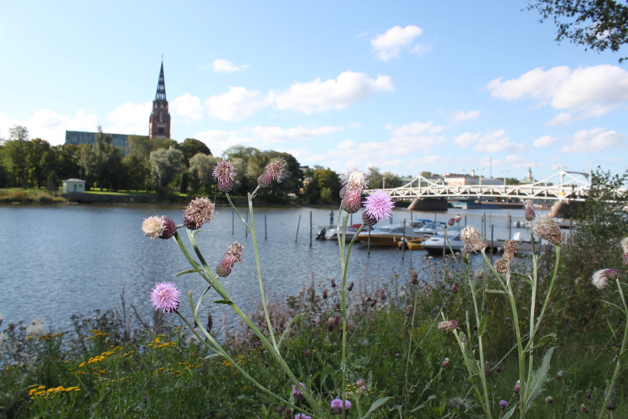 Porin kaupunki