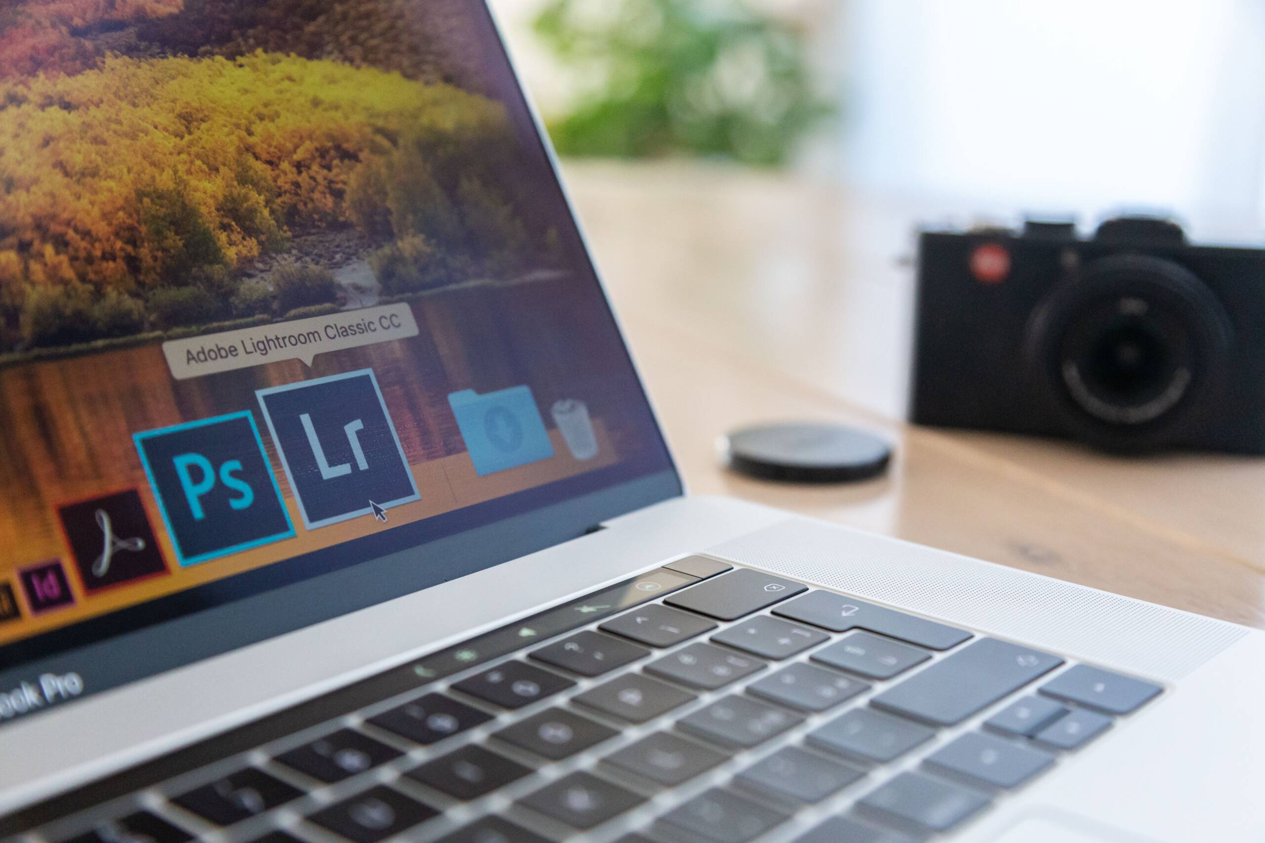 DAM and Adobe Creative Cloud: How the Integration Works in Practice